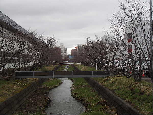 精進川