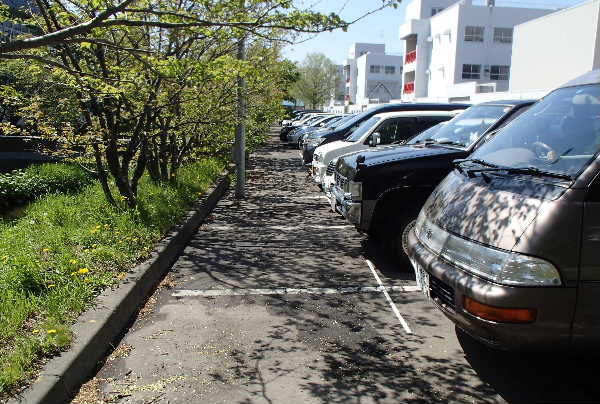 駐車
