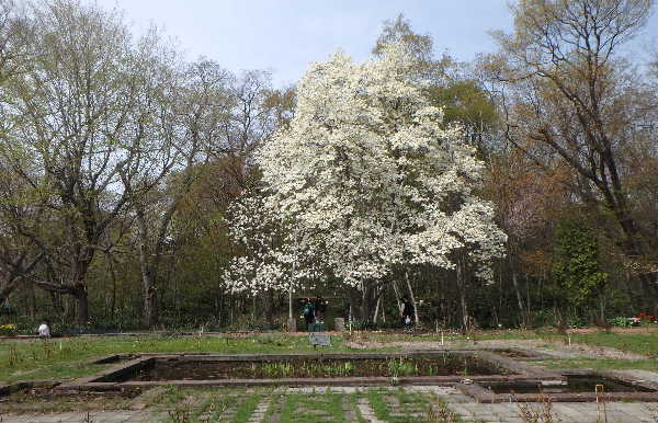バラ園