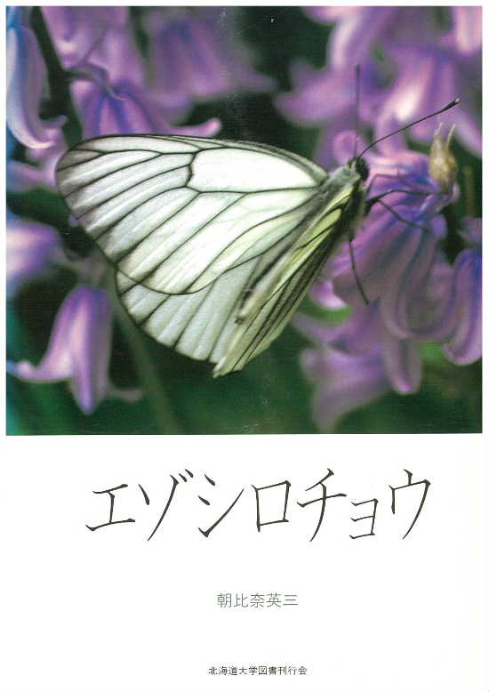 エゾシロチョウ