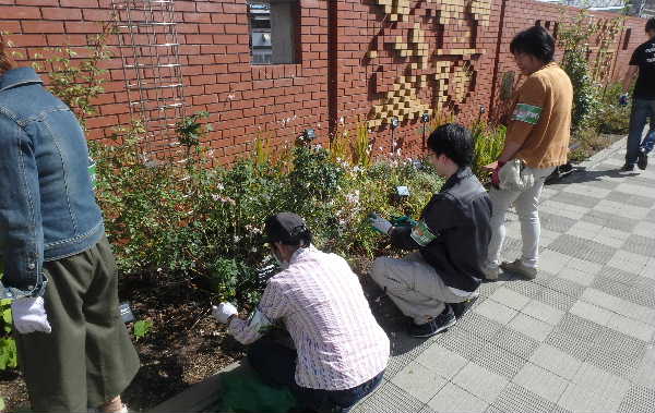 花がら摘み