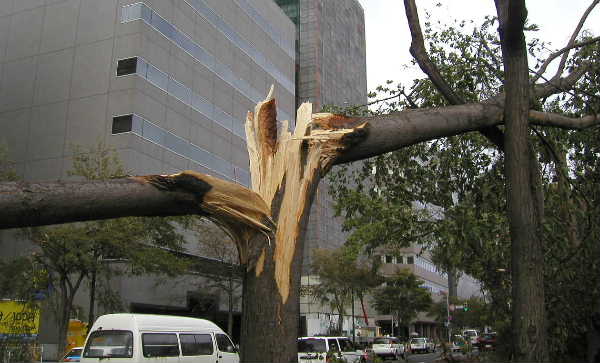 台風被害