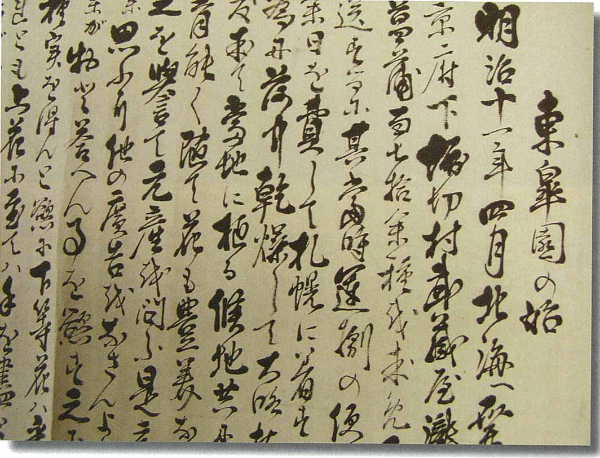 由来