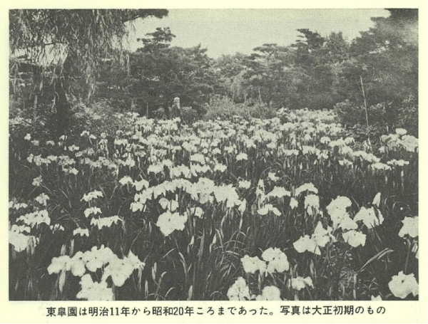 大正期の姿
