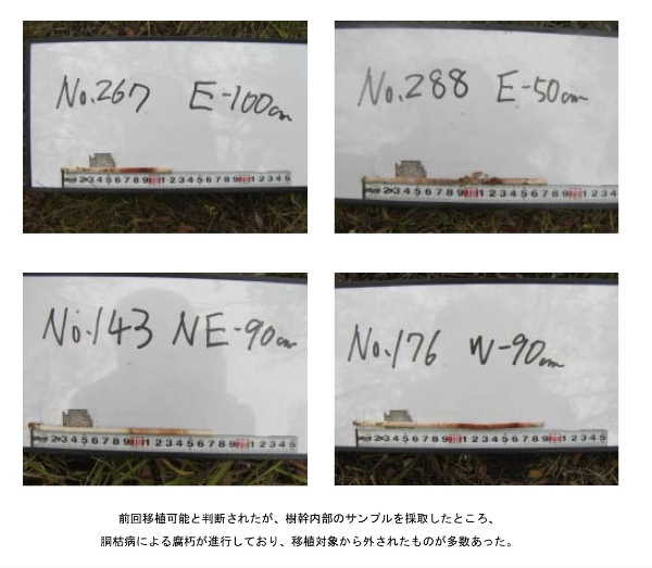 041105最終報告