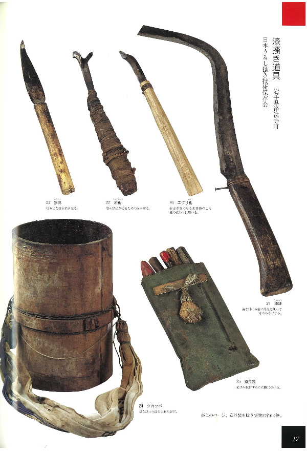 道内産ウルシ | 青柳庵日記