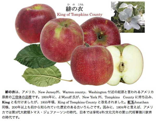 緋の衣