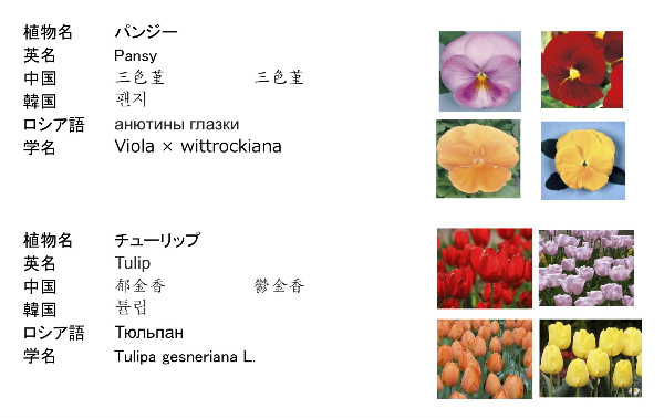 内訳1