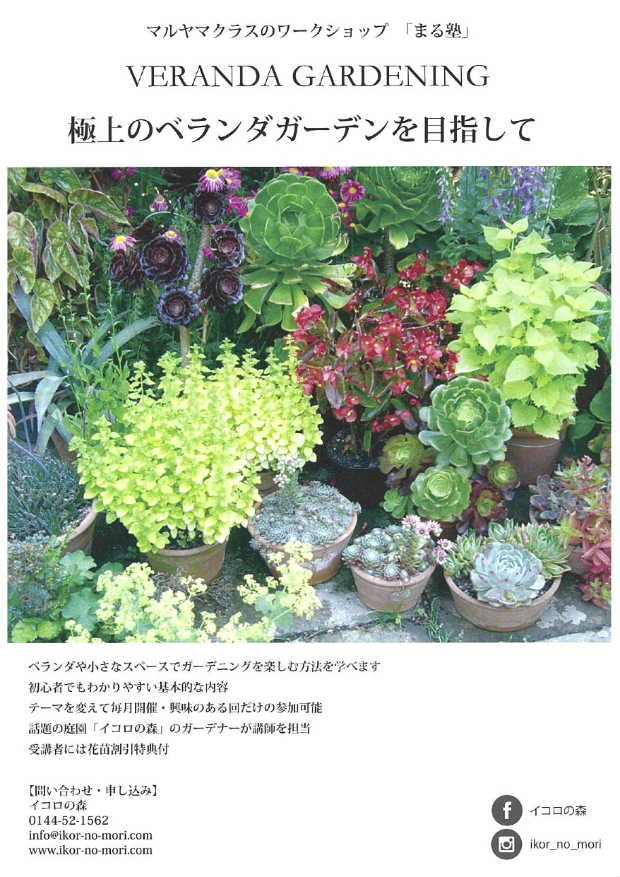 まる塾