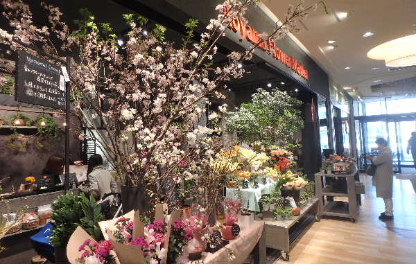 花屋さん
