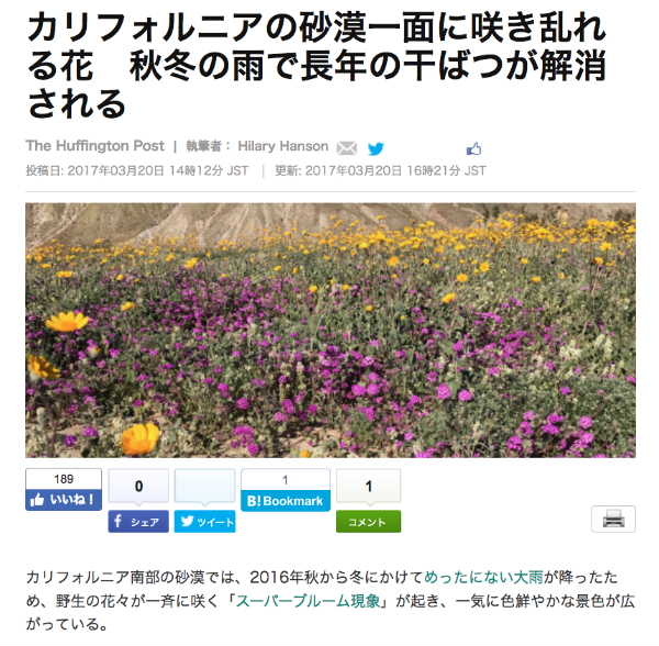 スーパーブルーム