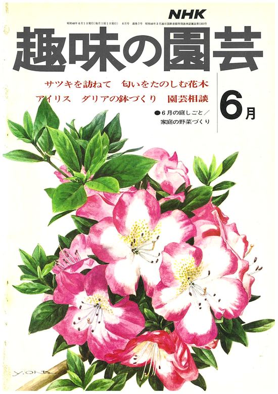1973-6月号