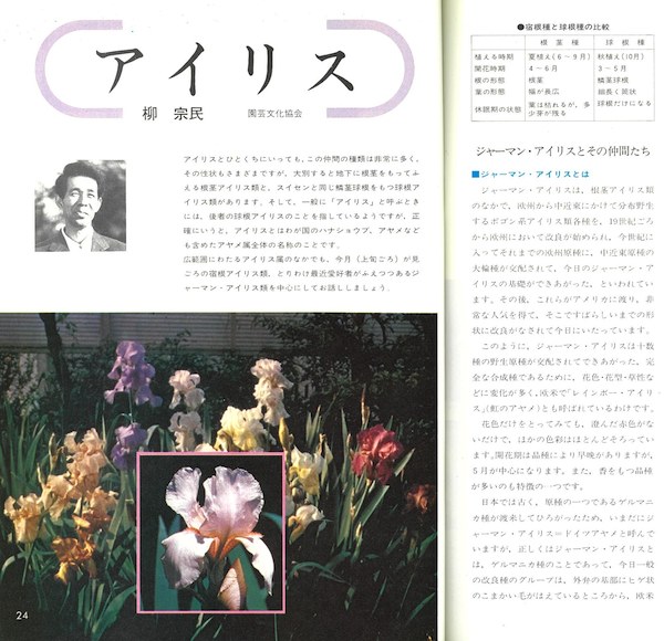 アイリス