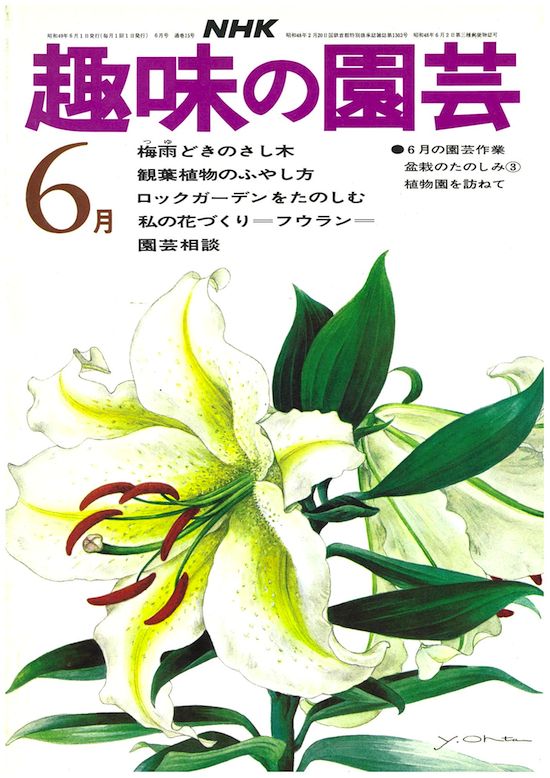 1974-6月号