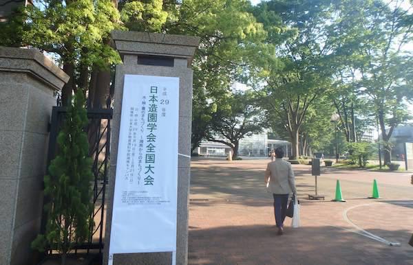 日大