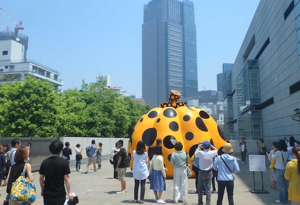 カボチャ