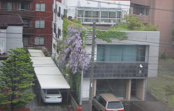 図書館前