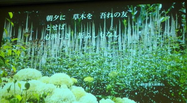 吉谷さん