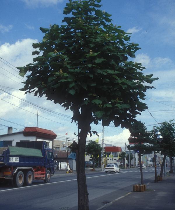 93年8月31日