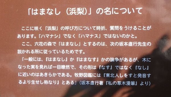 サイン