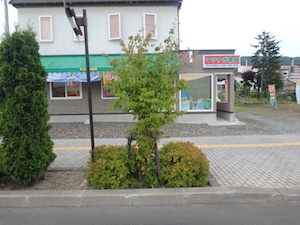 剪定前