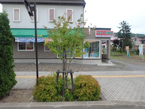 剪定後