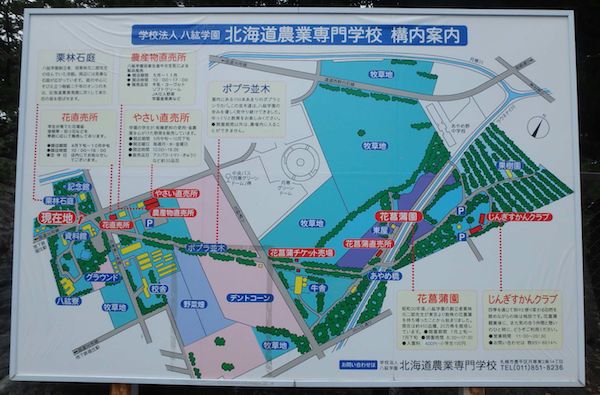 八紘学園