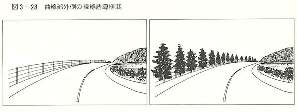 視線誘導植栽