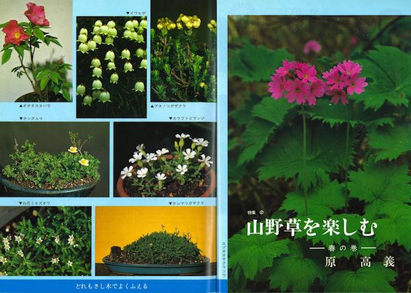 原高義1