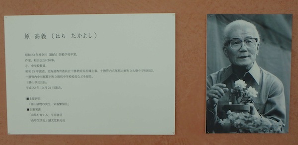 プロフィール