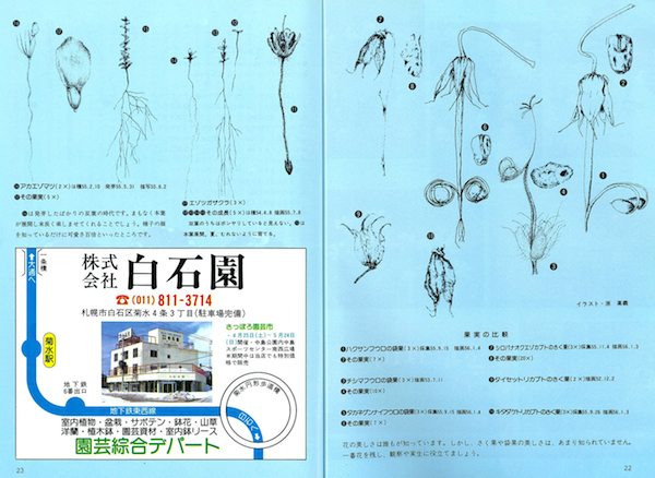 線画