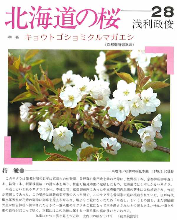 浅利政俊