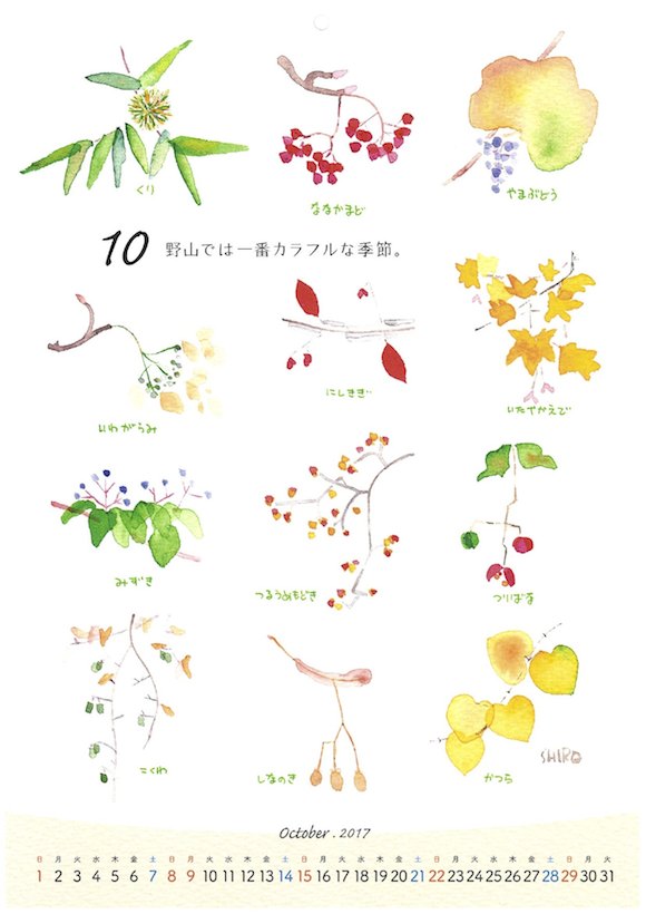 花カレンダー