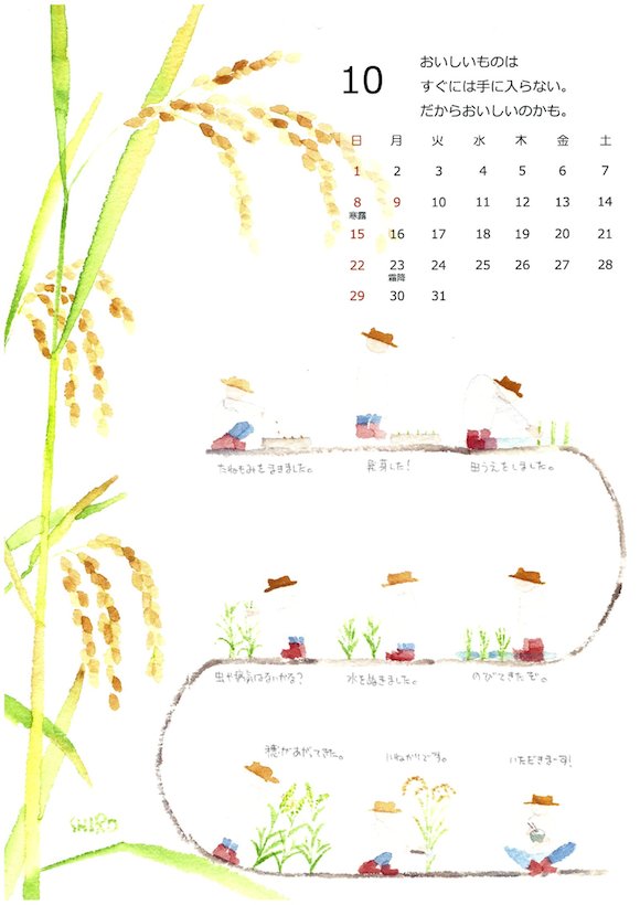 野菜カレンダー