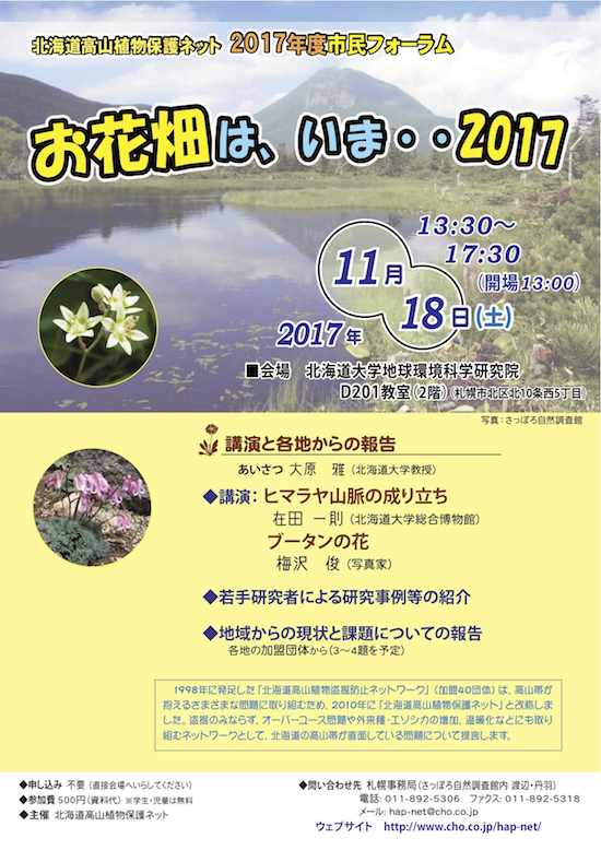 お花畑