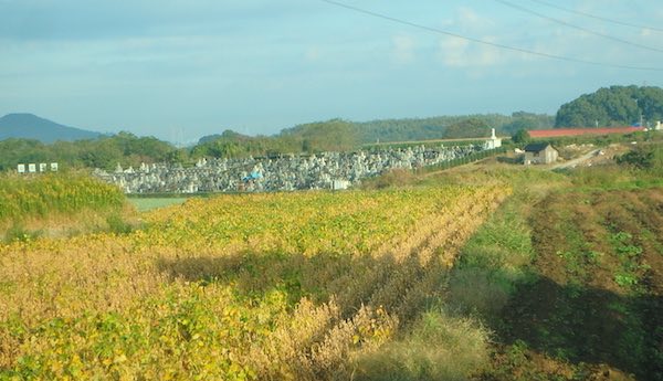 益城町