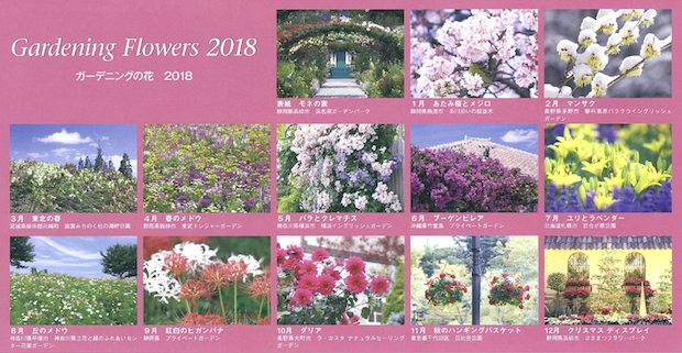 ガーデニングの花