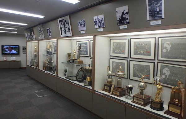 展示