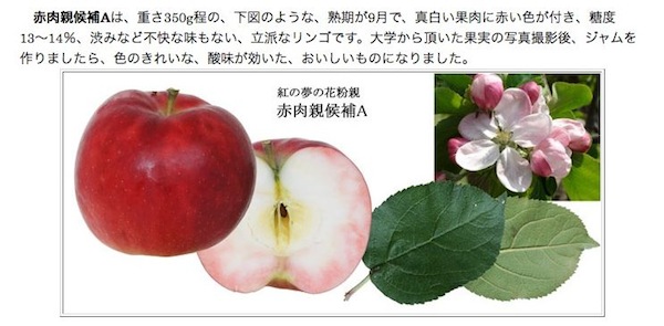 花粉親