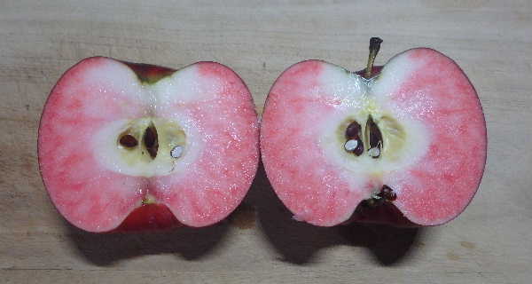 断面