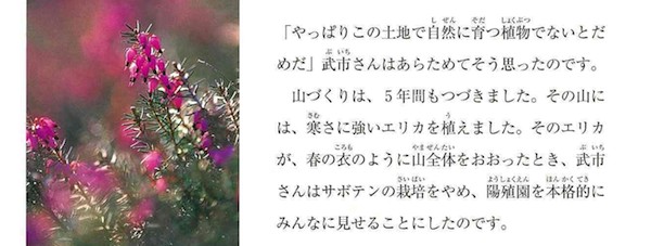 夢の庭づくり5