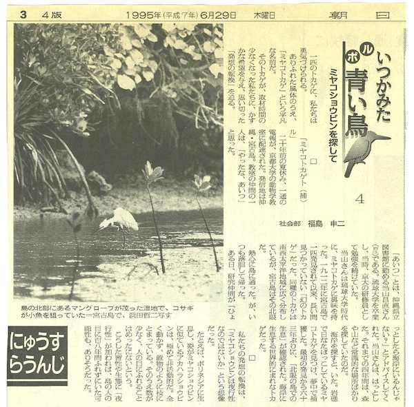 ミヤコショウビン