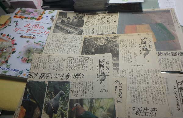 切り抜き