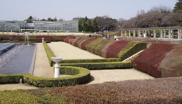 大刈り込み