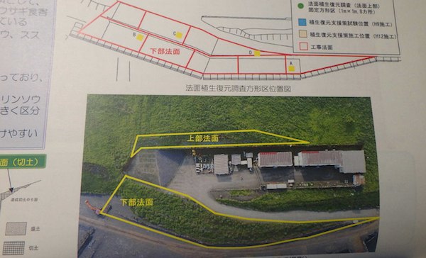 現地