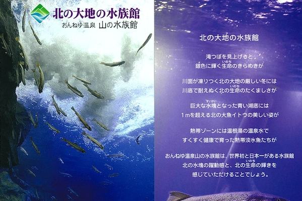 ちらし
