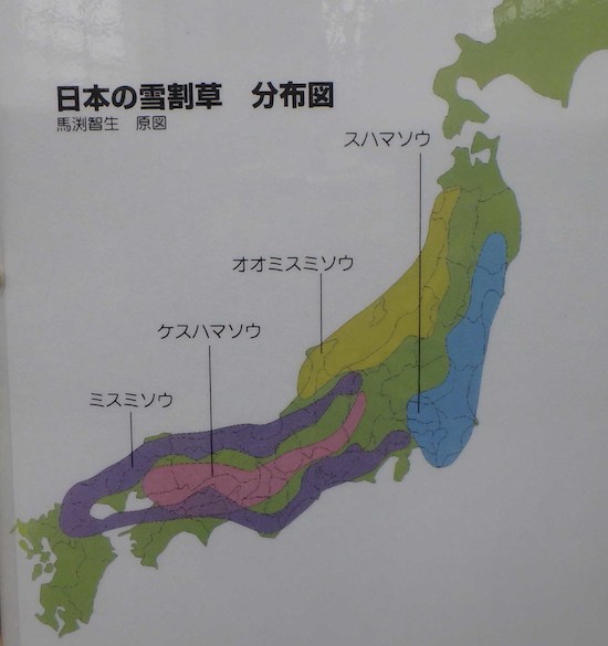 分布