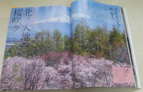 北の桜守