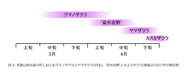 開花期