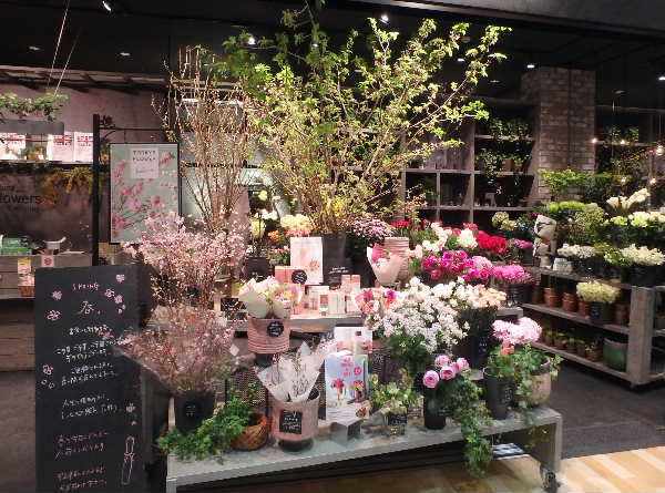 花屋の店先